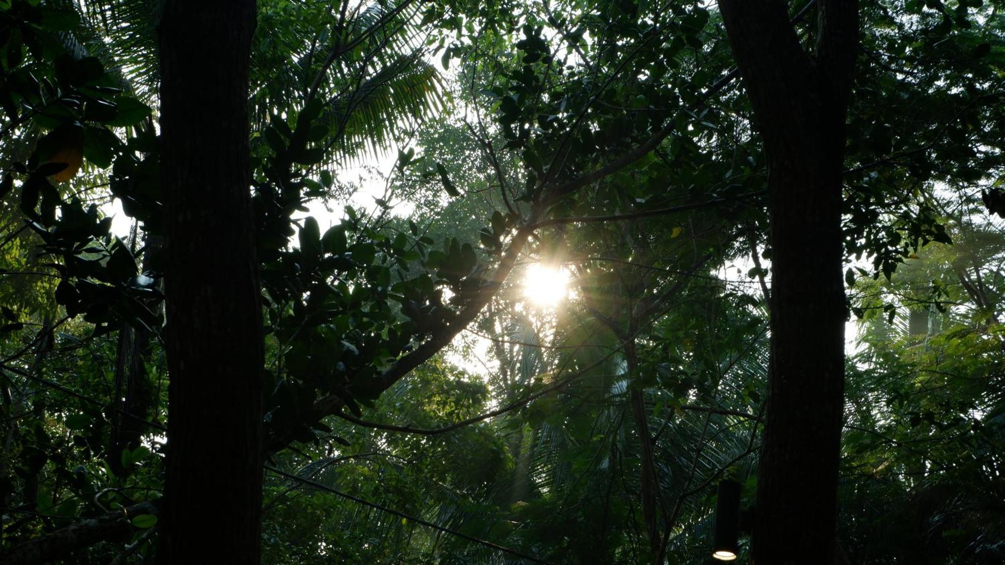 Hau Eco Lodges Citumang Pangandaran Exterior foto